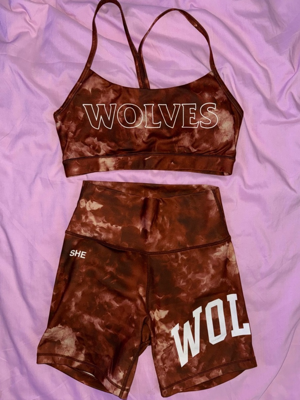 Darc Sport She Vicious Training Shorts and She Dual Everyday Sports Bra Set